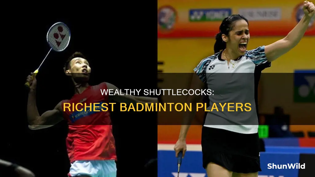 who is the richest badminton player in the world