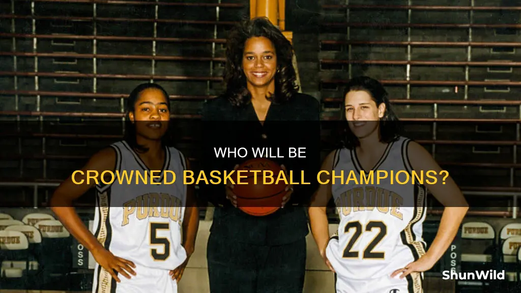 who is winning the basketball finals