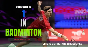 Badminton's Top Player: Who's Leading the Game?