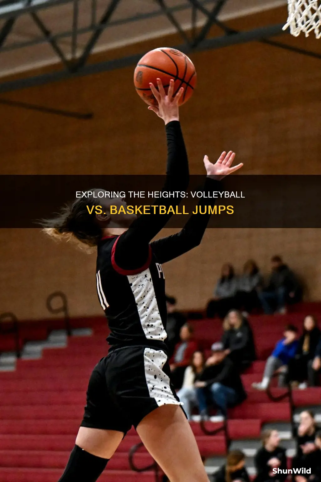 who jumps higher basketball or volleyball