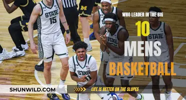 Who's the Top Dog in Big Ten Men's Basketball?
