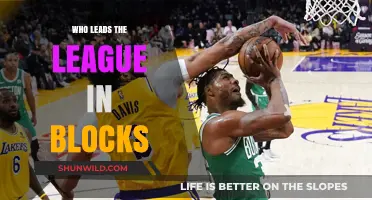 Block Masters: League Leaders in Rejection