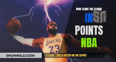 The NBA's Top Scorers: Who Leads the League?