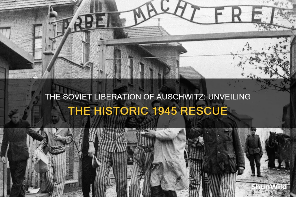 who liberated auschwitz concentration camp
