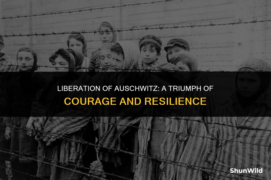 who liberated auschwitz death camp