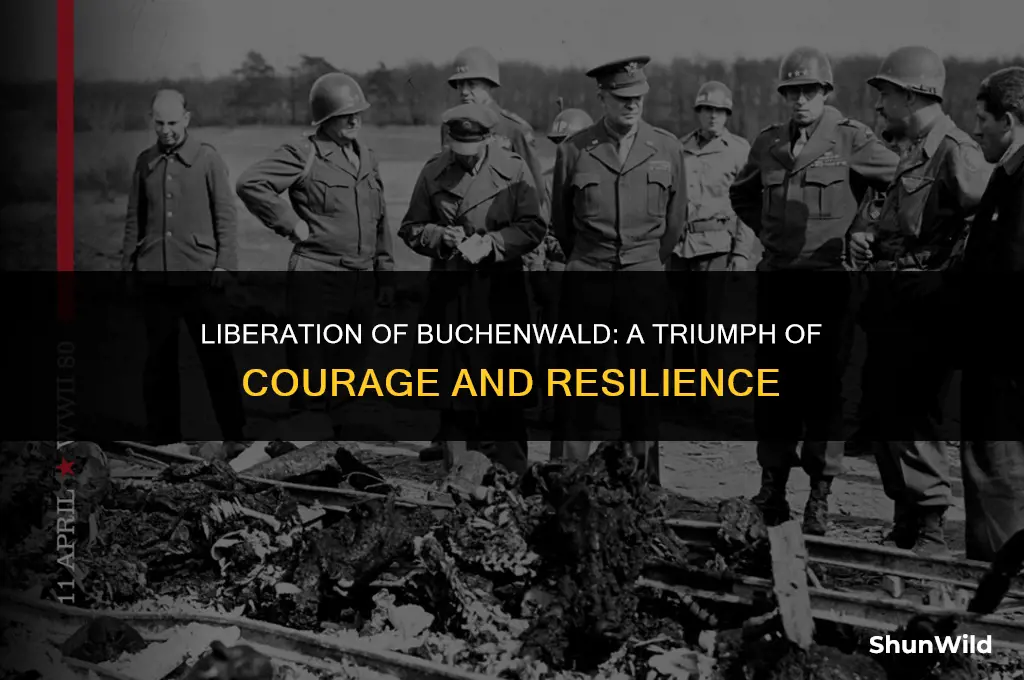 who liberated buchenwald camp