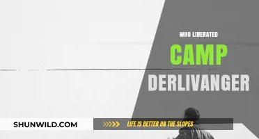 Unveiling History: The Liberation of Camp Derlivanger