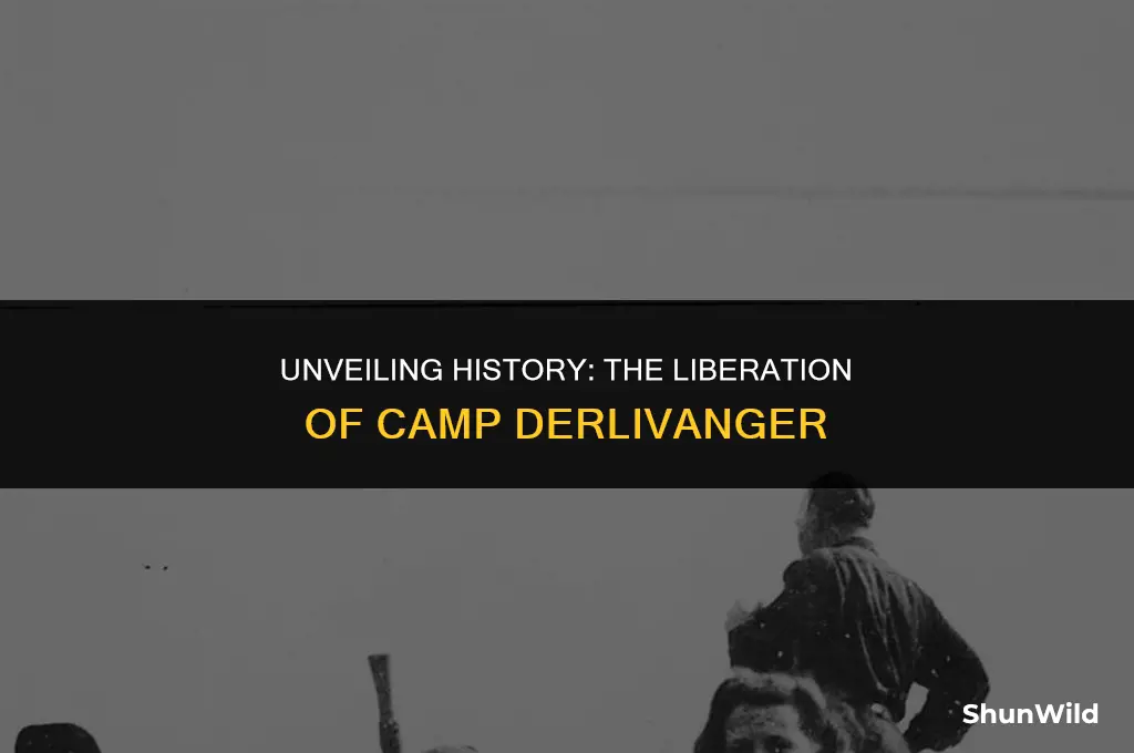 who liberated camp derlivanger