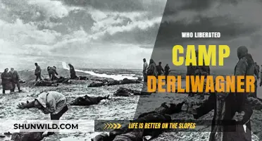 Unveiling History: The Liberation of Camp Derliwagner