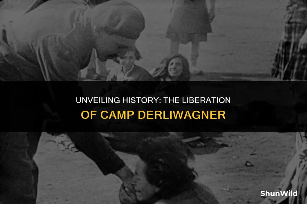 who liberated camp derliwagner
