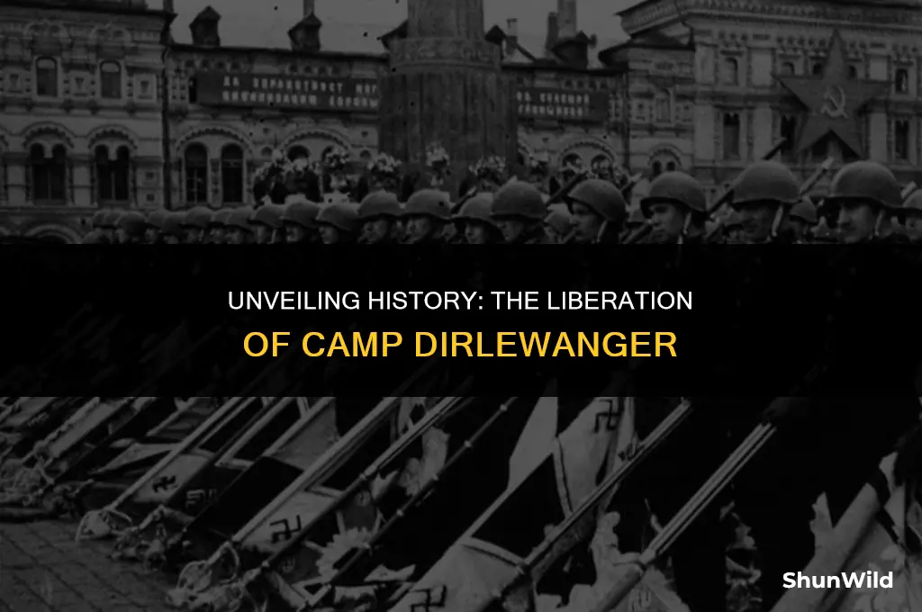 who liberated camp dirlewanger