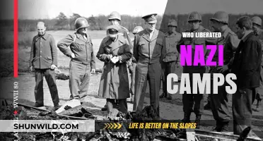 Allied Forces' Courage: The Liberation of Nazi Camps
