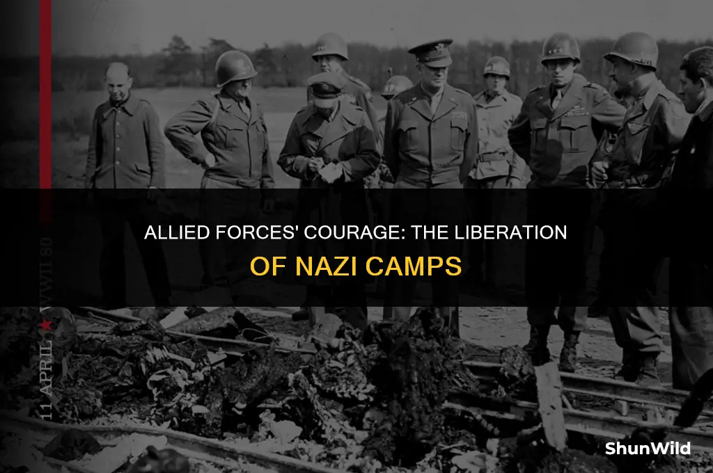 who liberated nazi camps