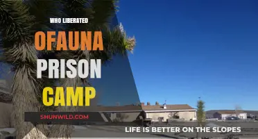 Liberation of Ofauna Prison Camp: A Triumph of Justice and Freedom