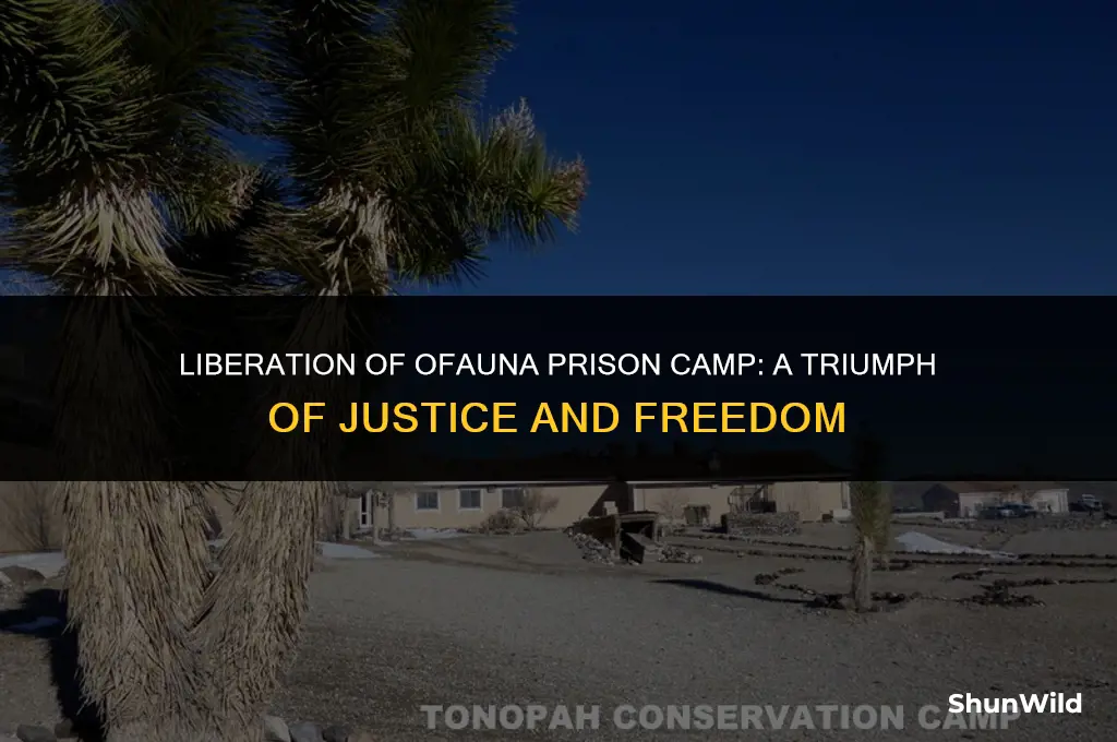 who liberated ofauna prison camp