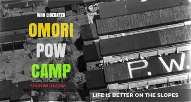 Liberation of Omori POW Camp: A Historical Account