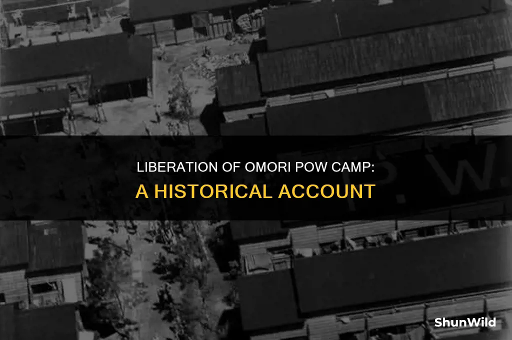 who liberated omori pow camp