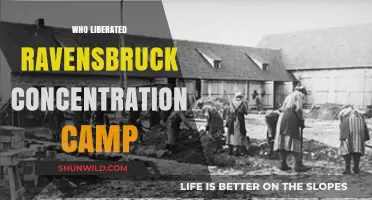 Liberation of Ravensbrück: The Soviet Forces' Historic Role