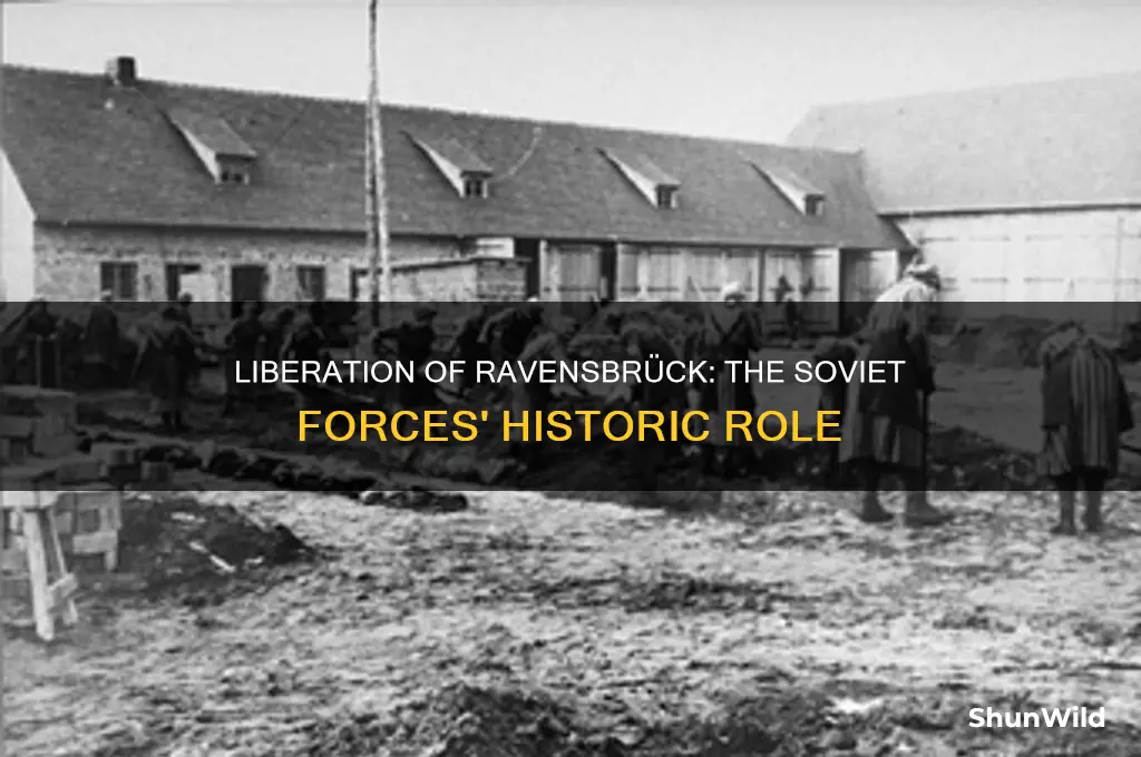 who liberated ravensbruck concentration camp