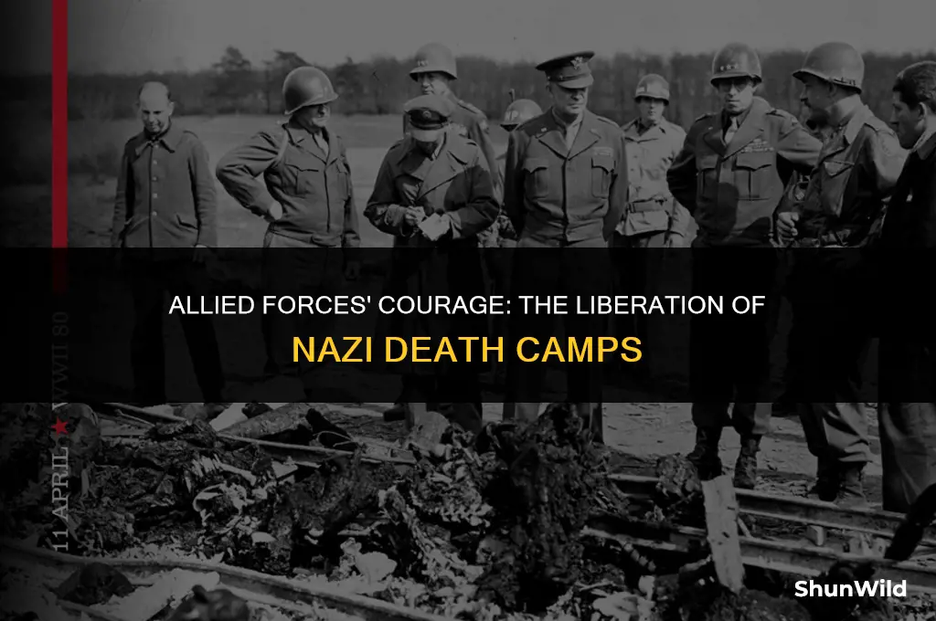 who liberated the death camps