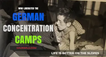 Liberators of Nazi Camps: Allied Forces' Role in Ending Holocaust Horrors