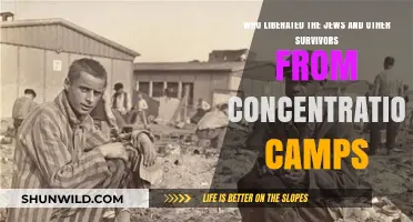 Liberation of Jews and Survivors: Allies' Role in Concentration Camps