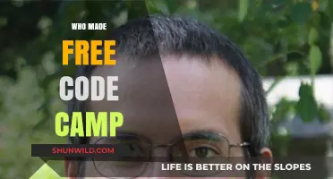 Unveiling the Creators Behind the Free Code Camp Revolution