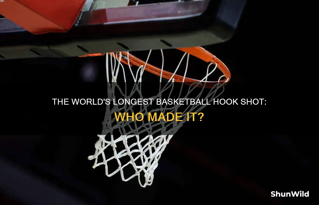 who made the worlds longest basketball hook shot