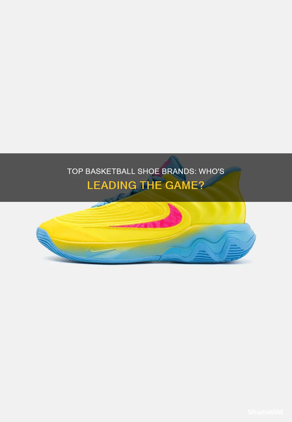 who makes ashion basketball shoes