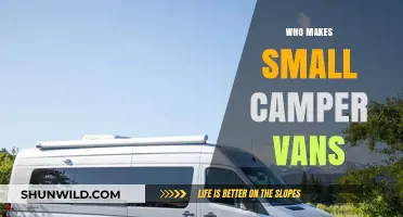 Exploring the Makers of Cozy Small Camper Vans