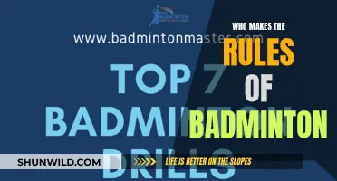Badminton Rules: Who Decides the Standards?