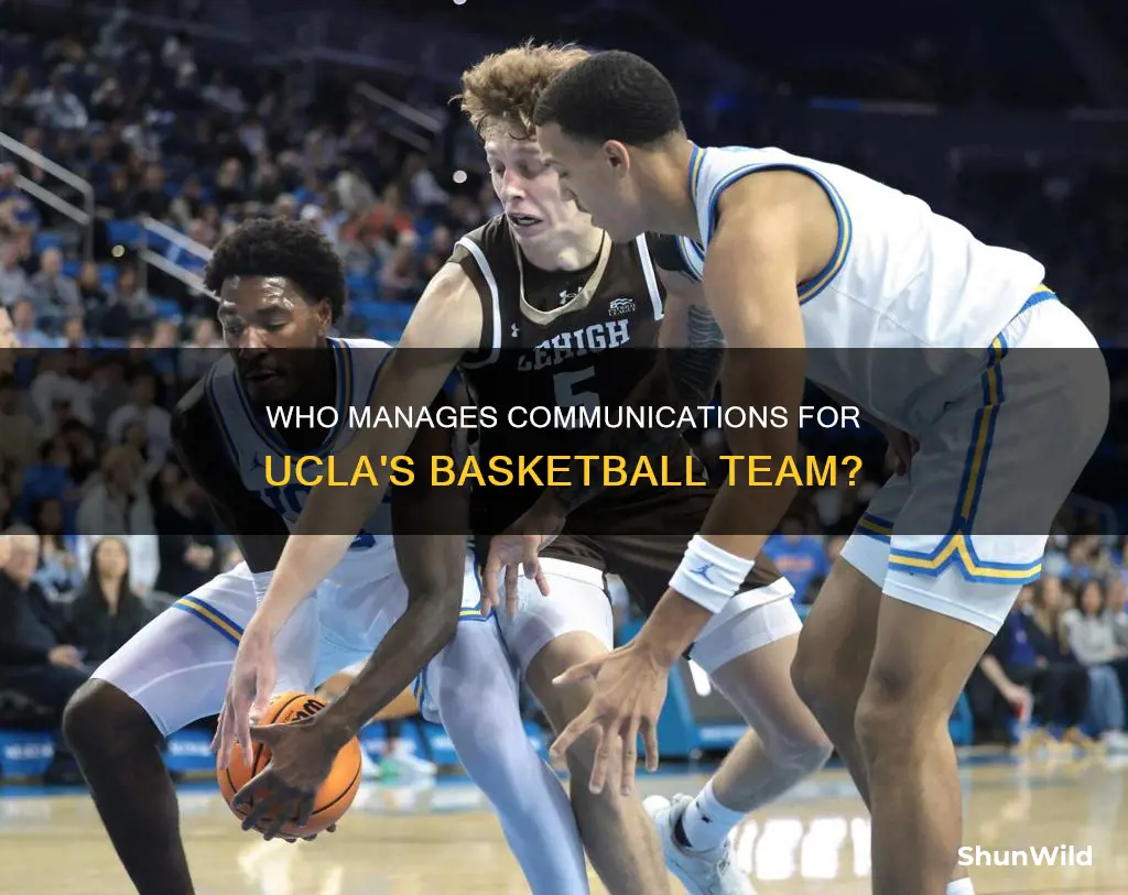 who manages the communications for ucla men