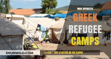 Who Manages Greek Refugee Camps: Key Operators and Responsibilities
