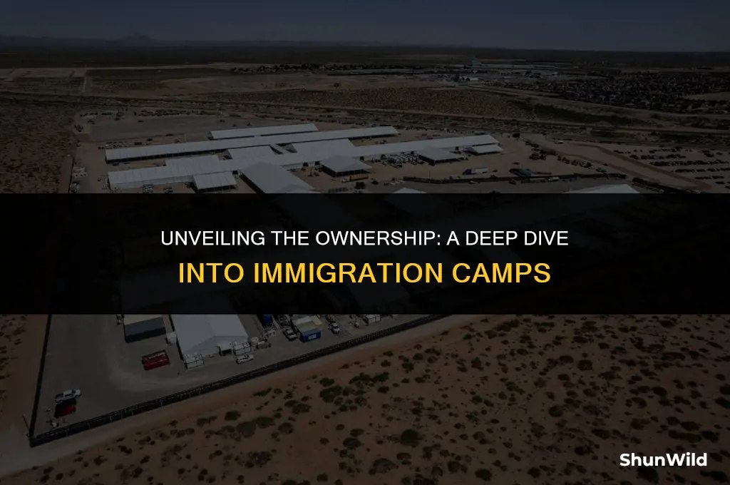 who own the immigration camps