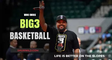 The Big3 Basketball League: Who Owns It?