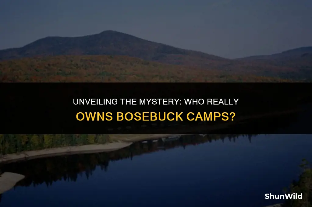 who owns bosebuck camps