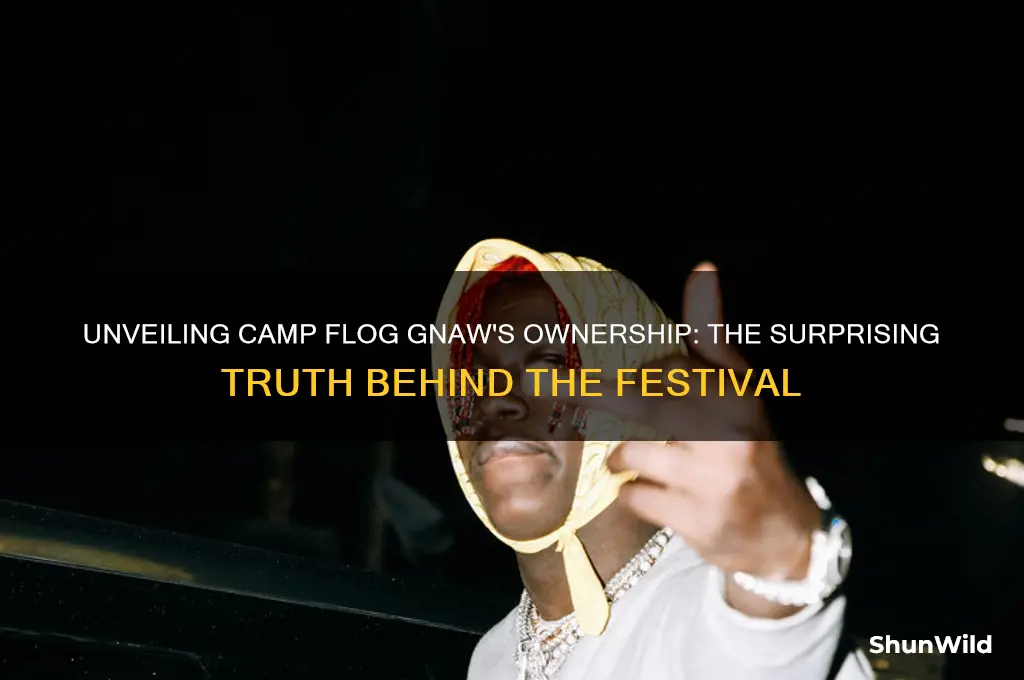 who owns camp flog gnaw