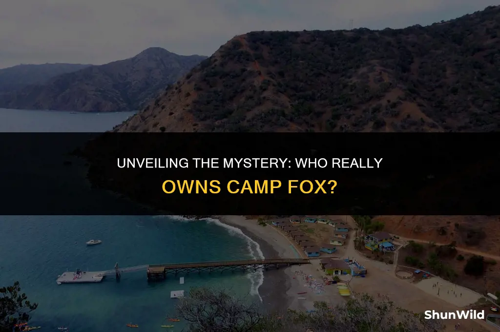 who owns camp fox