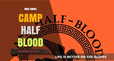 Unveiling the Myth: The True Owner of Camp Half-Blood
