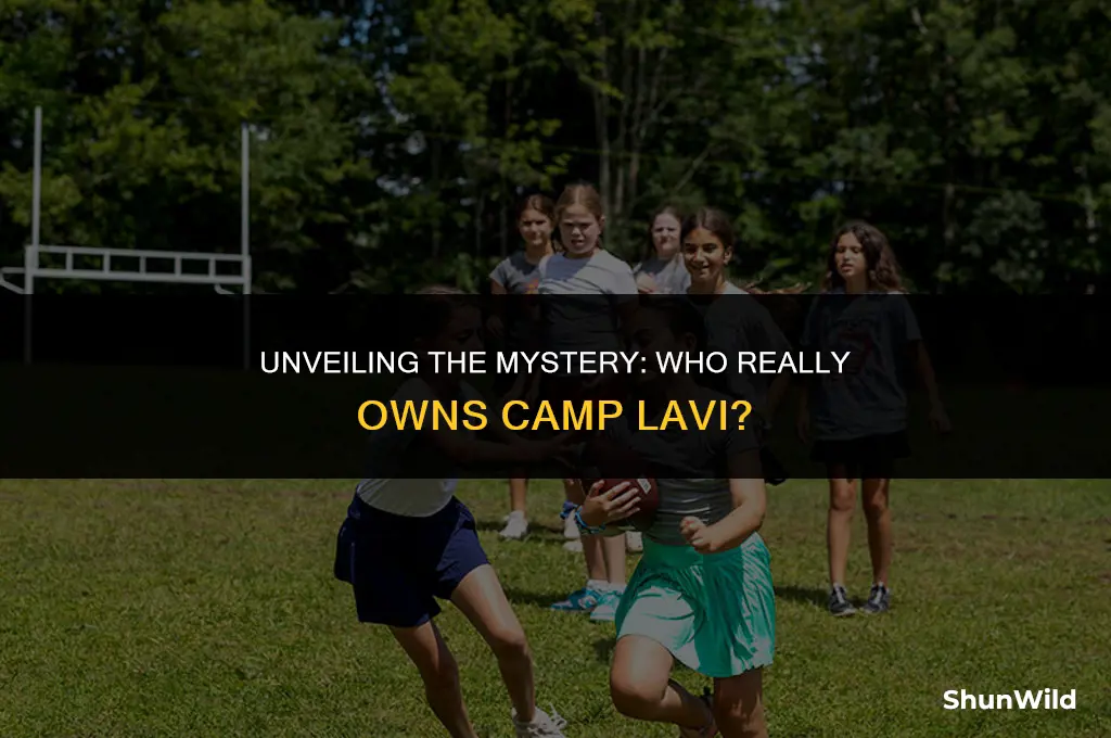 who owns camp lavi