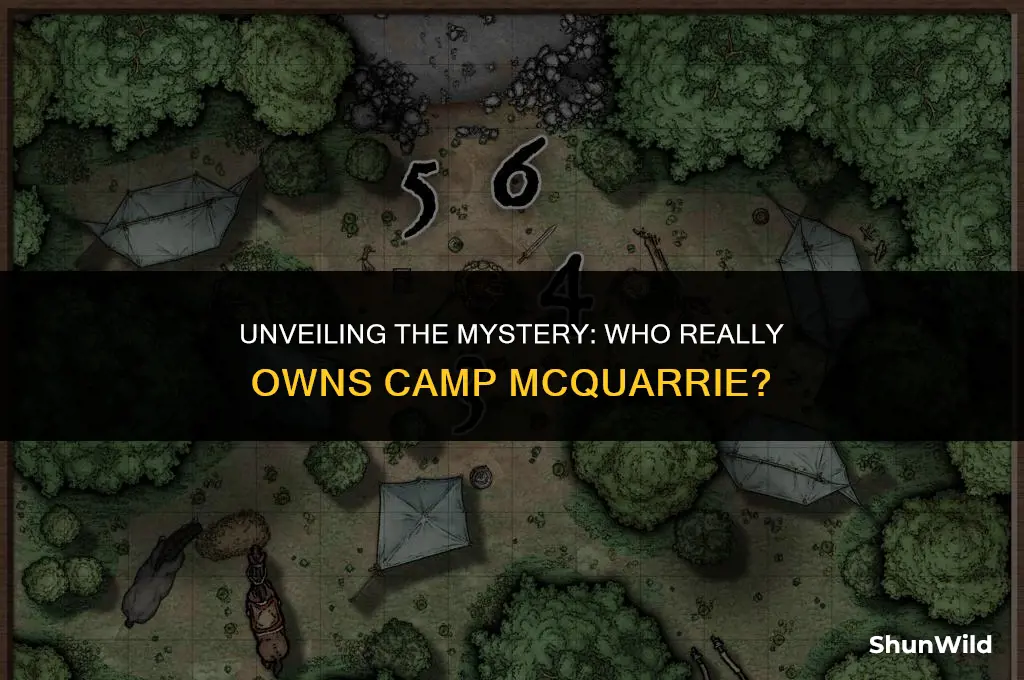 who owns camp mcquarrie