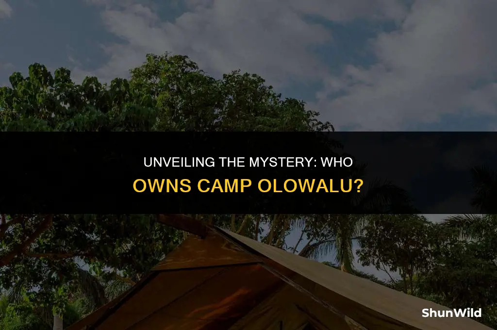 who owns camp olowalu