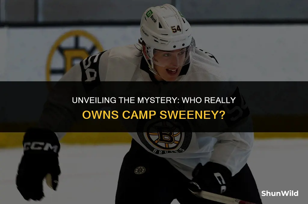 who owns camp sweeney