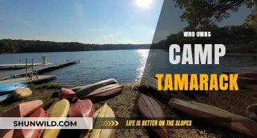 Unveiling the Mystery: Who Really Owns Camp Tamarack?