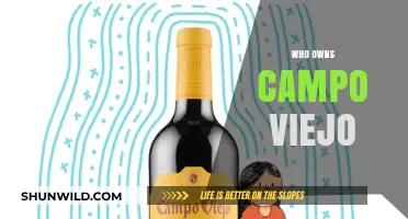 Unveiling the Ownership Mystery of Campo Viejo: A Deep Dive