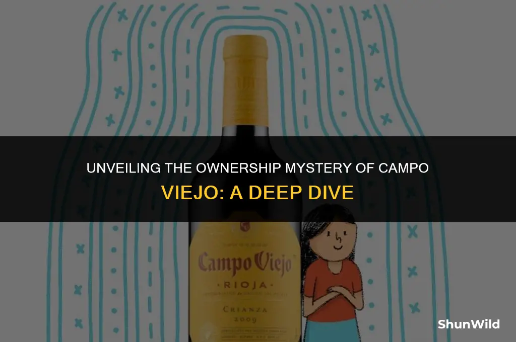 who owns campo viejo