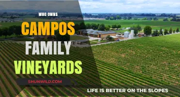 Exploring the Legacy: Who Owns Campos Family Vineyards?