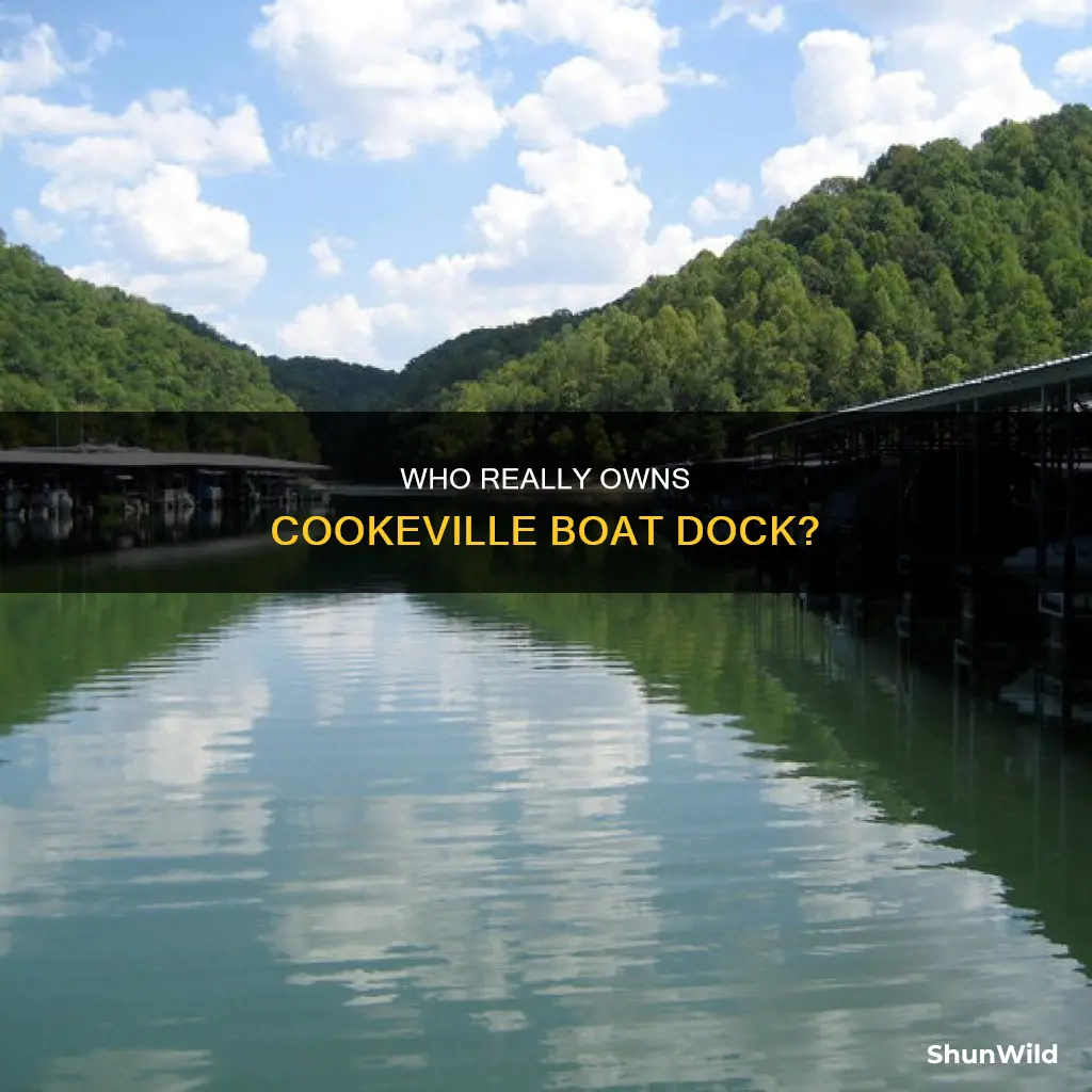 who owns cookeville boat dock