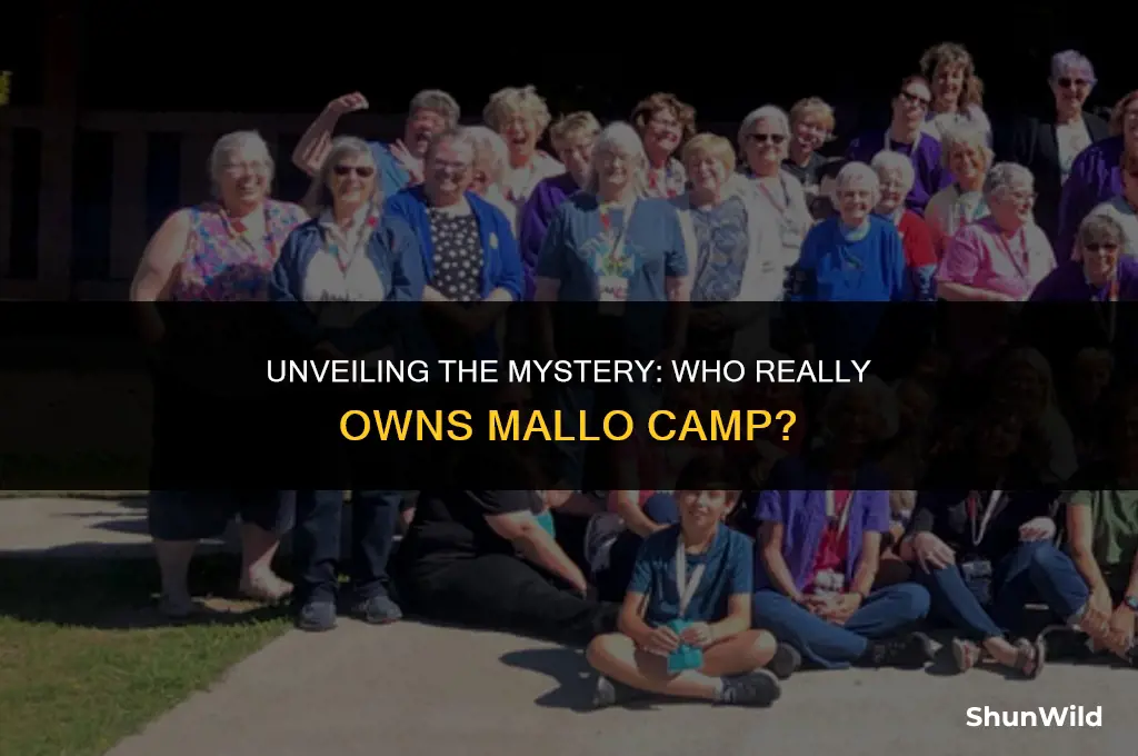 who owns mallo camp
