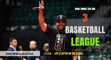 Big 3 League: Who Owns the Court?